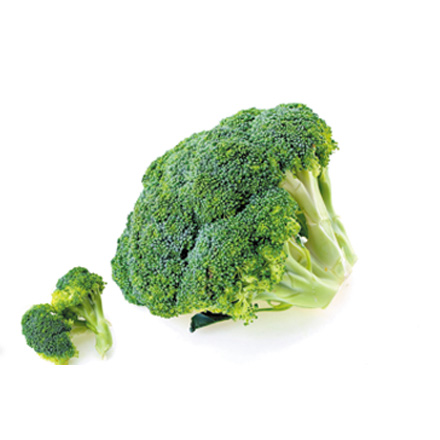 產(chǎn)品中心標(biāo)題三
