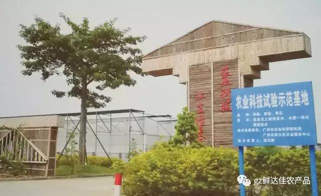 南沙農(nóng)業(yè)生產(chǎn)基地